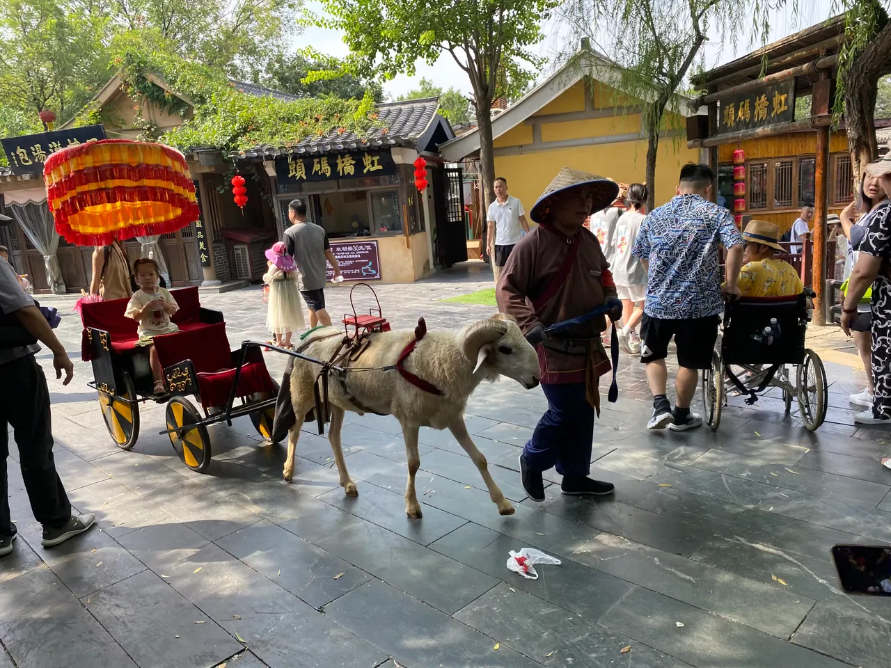 Goat cart